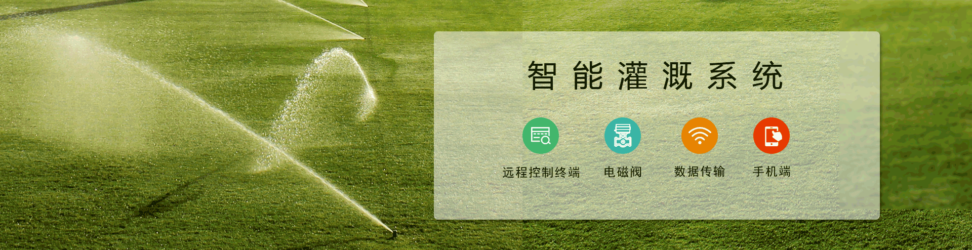 农业樱桃TV在线观看
