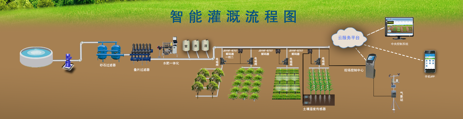 节水樱桃TV在线观看