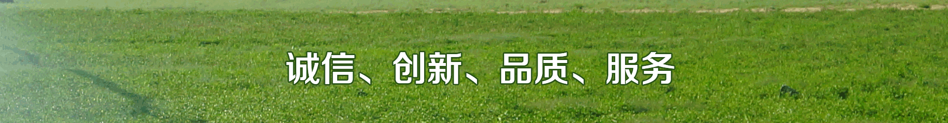 樱桃TV在线观看系统
