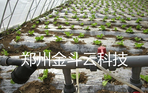 农业樱桃TV在线观看