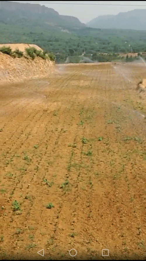 节水樱桃TV在线观看