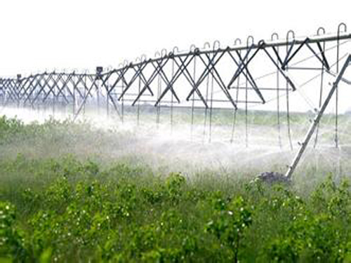 农业樱桃TV在线观看