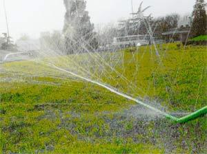 节水樱桃TV在线观看