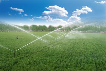 樱桃TV在线观看系统厂家