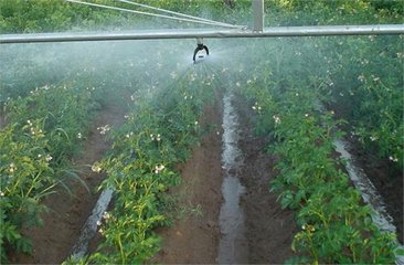 节水樱桃TV在线观看厂家